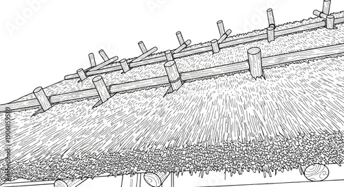 Detailed line drawing of a thatched roof with wooden supports
