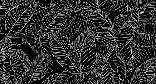 Elegant banana leaf line ar...