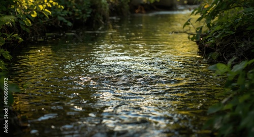 A slow flowing small river ...