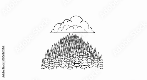 Dense evergreen forest with a stylized cloud overhead