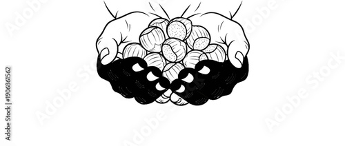 Close-up sketch of cupped hands overflowing with nuts, black ink drawing