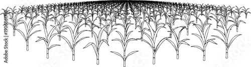 Dense rows of stylized tall plants with broad leaves create a receding perspective