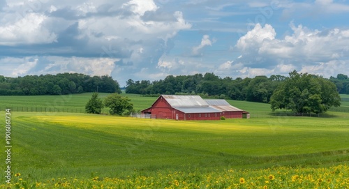 Lush summer farmland scene ...