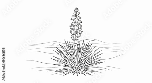 Desert yucca plant with bloom spikes against sand dune background