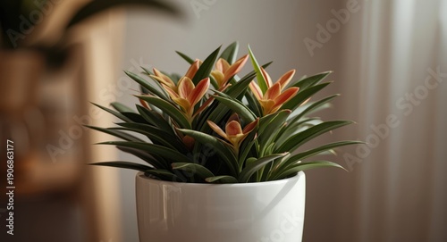 An indoor plant arranged ne...