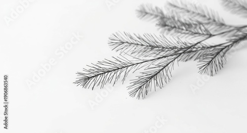 Decorative pine twig line d...