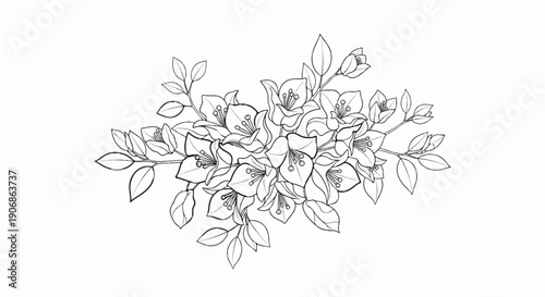 Delicate sketch of a clustered floral arrangement with budding flowers and leaves