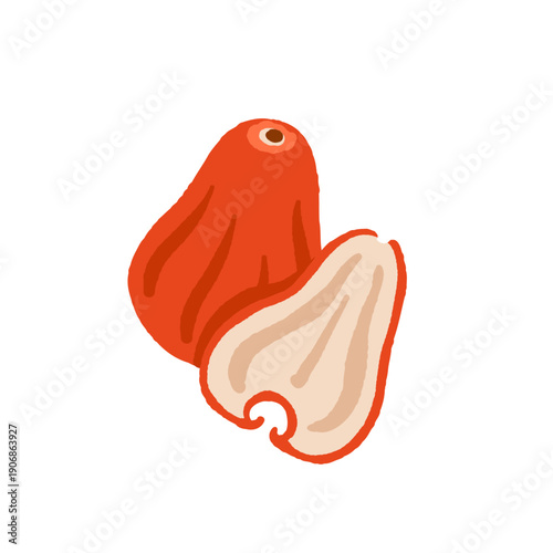 Rare exotic fruits vector illustration set with cucamelon banana passionfruit sapodilla black sapote pepino yellow pitaya rambutan durian loquat monstera blood orange canistel feijoa buddha hand