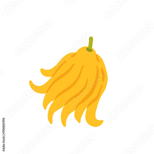 Rare exotic fruits vector illustration set with cucamelon banana passionfruit sapodilla black sapote pepino yellow pitaya rambutan durian loquat monstera blood orange canistel feijoa buddha hand