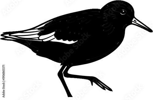 Black wading bird with white wing markings and slender beak in motion