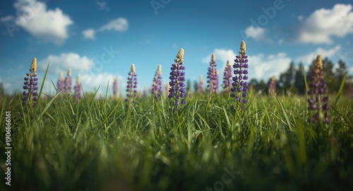 Green grass lawn with vibra...