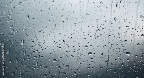 Close focused rain drops on...