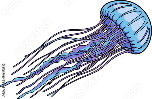 Blue sea jellyfish with rounded bell and thin tentacles