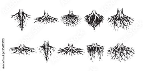 A collection of ten unique, hand-drawn root system illustrations, perfect for nature-themed designs, educational materials, or conceptual artwork. Available on a white background.