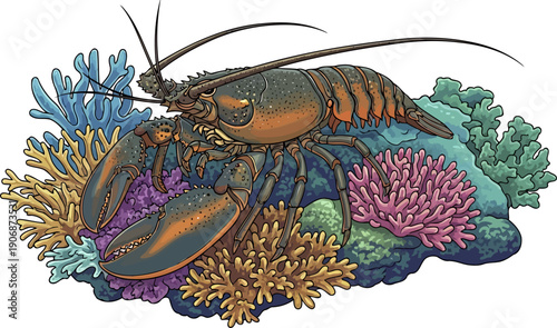 Brown lobster resting on a colorful coral reef bed