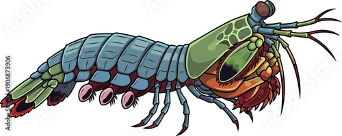 Colorful mantis shrimp with vibrant green and blue shell