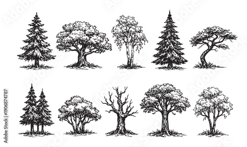 Artistic vector illustration of diverse hand-drawn tree silhouettes. Ideal for nature illustrations, landscape designs, botanical graphics, and educational materials.
