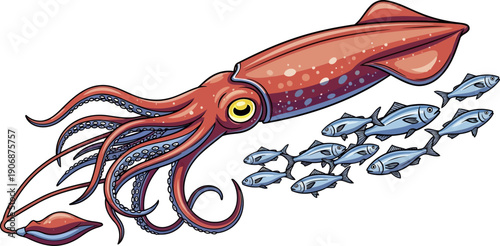 Giant red squid hunting a school of small blue fish