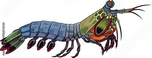 Intricate mantis shrimp marine crustacean graphic