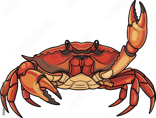 Large red crab with raised pincer claw illustration