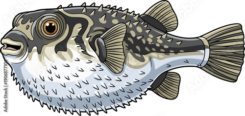 Porcupinefish with sharp spines and spotted skin