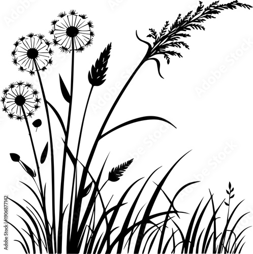 Black Silhouette of Wild Dandelions Grass and Field Plants Vector Graphic