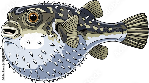 Spiny blowfish showing defensive posture with sharp thorns and dark spots