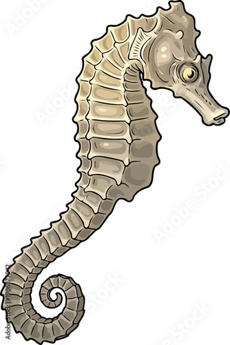 Tan seahorse with curled tail and bony plates on body