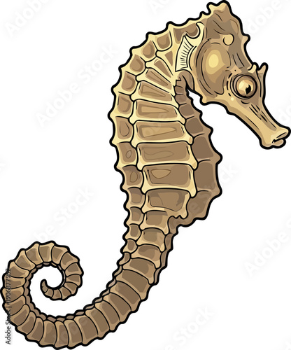 Tan seahorse with detailed bony plates and curled tail