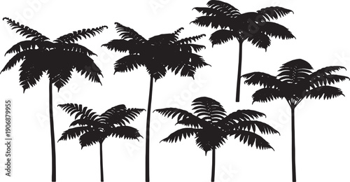 Black Solid Prehistoric Fern Tree Silhouettes Set of Six on White Background
