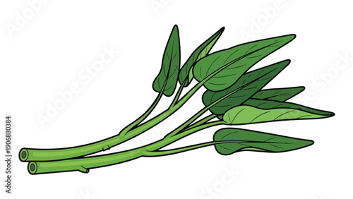 Freshly picked water spinach illustration for healthy cooking concepts and vibrant recipe designs. A perfect visual