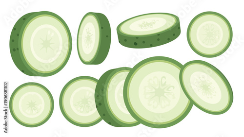 A collection of fresh green cucumber slices presented in a clean, crisp, and modern flat design vector illustration on a pure white background
