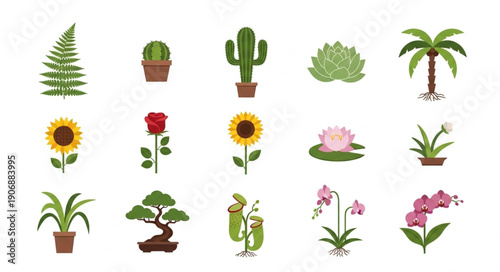 Collection of various potted plants and flowers.