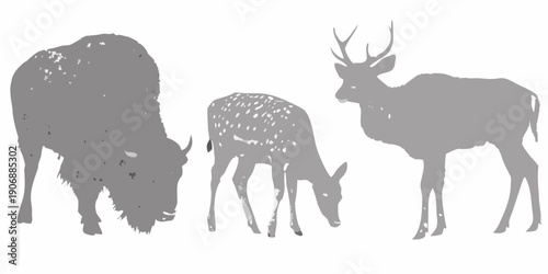 Silhouettes of a bison deer and fawn grazing in a field