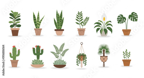 Collection of various potted houseplants in a flat design style.
