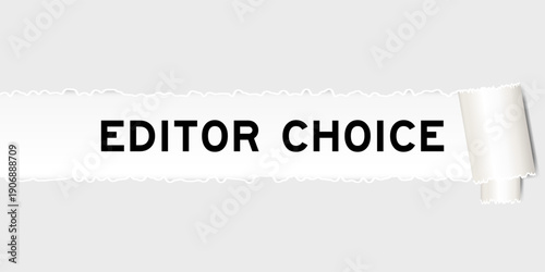 Ripped gray paper background that have word editor choice under torn part