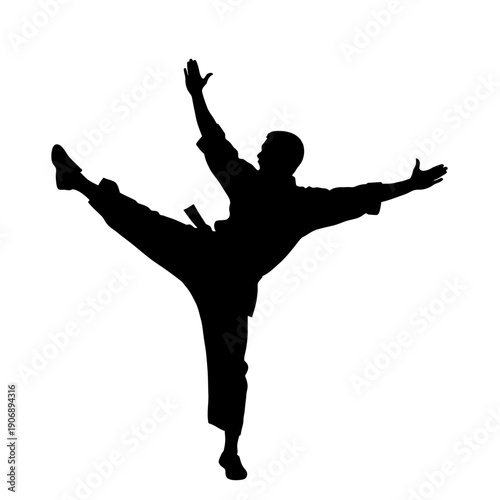 Silhouette of Karate Practitioner Performing a Side Kick.
