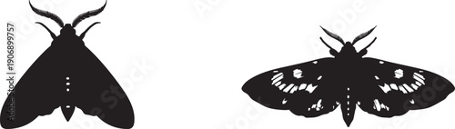 Black silhouette vector