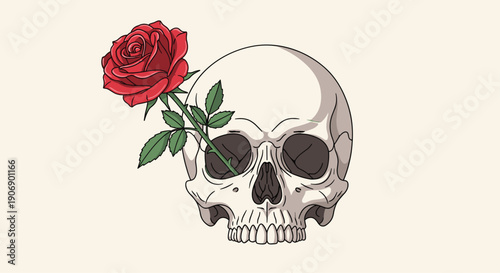 A detailed human skull, rendered in a realistic style, features a single vibrant red rose with green leaves gracefully blooming from its left eye socket, resting on a clean, light beige background.