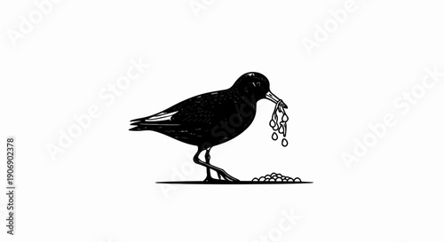 Ink illustration of a black bird holding food in its beak with a pile of food nearby