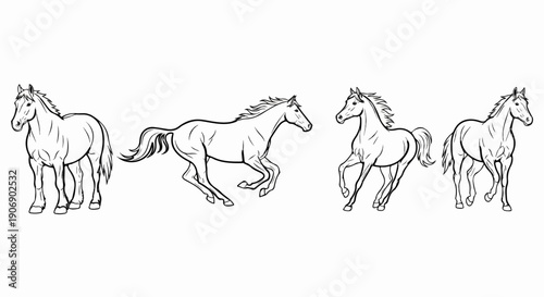 Four line drawings of horses in different poses on a white background