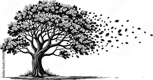 Detailed Black and White Vector Illustration of an Oak Tree with Falling Leaves in the Wind, Nature Landscape for Autumn and Seasonal Designs