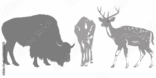 Silhouettes of a bison deer and fawn grazing in a field