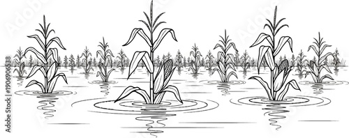 Line art depiction of a flooded cornfield with rows of plants