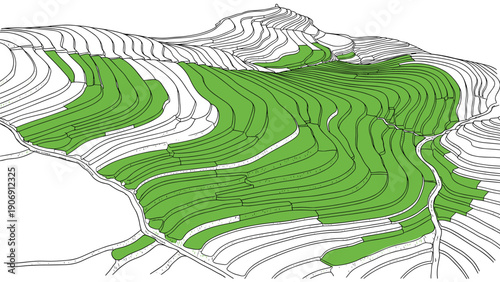 Isometric design of green terraced fields on mountainous landscape with white contours