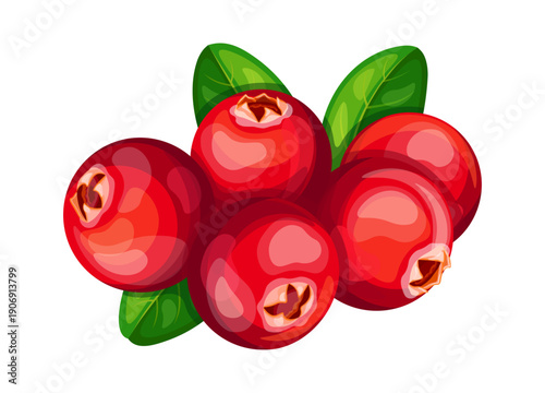A bunch of delicious red cranberries in a cartoon style. Vector illustration of a bunch of fresh, healthy cranberries with green leaves isolated on a white background. Ripe sweet and sour berries.