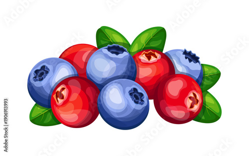 A bunch of juicy cranberries and blueberries in a cartoon style. Vector illustration of tasty, healthy cranberries and blueberries with green leaves isolated on a white background.