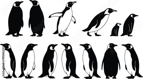 Penguin silhouette collection, antarctic bird poses set, black and white wildlife illustration, cute penguin family animals isolated on white background vector design