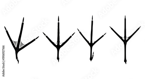 Four Bird Footprints Isolated on White Background.