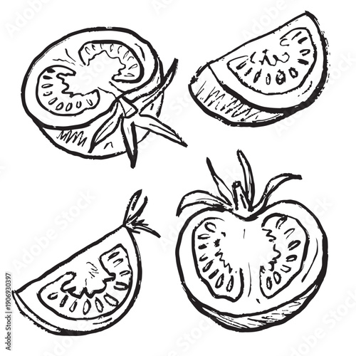 Whole tomato vegetable with leaves and slices in black brush stroke texture isolated on white. Hand drawn vector sketch illustration in vintage charcoal ink. Agriculture, farm product label,